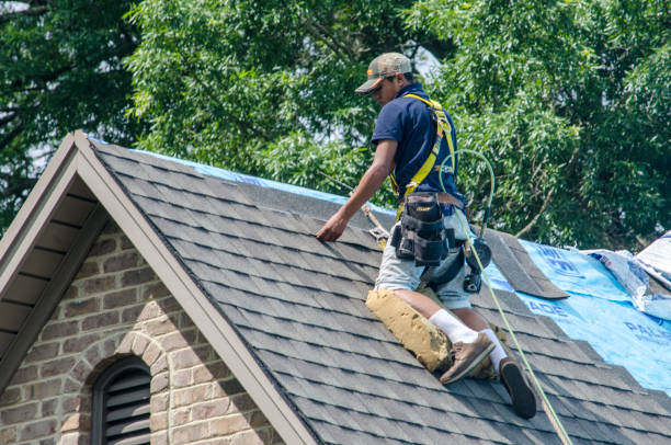 Best Roof Gutter Cleaning  in Onarga, IL