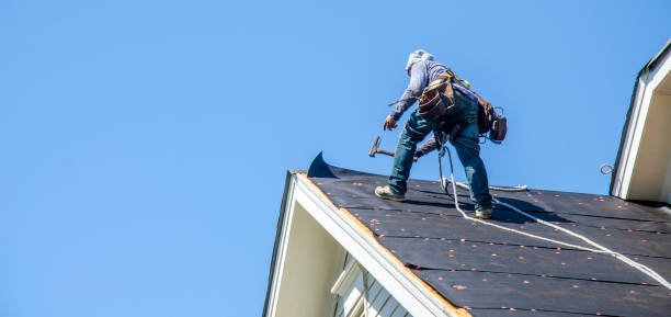 Best Metal Roofing Contractor  in Onarga, IL